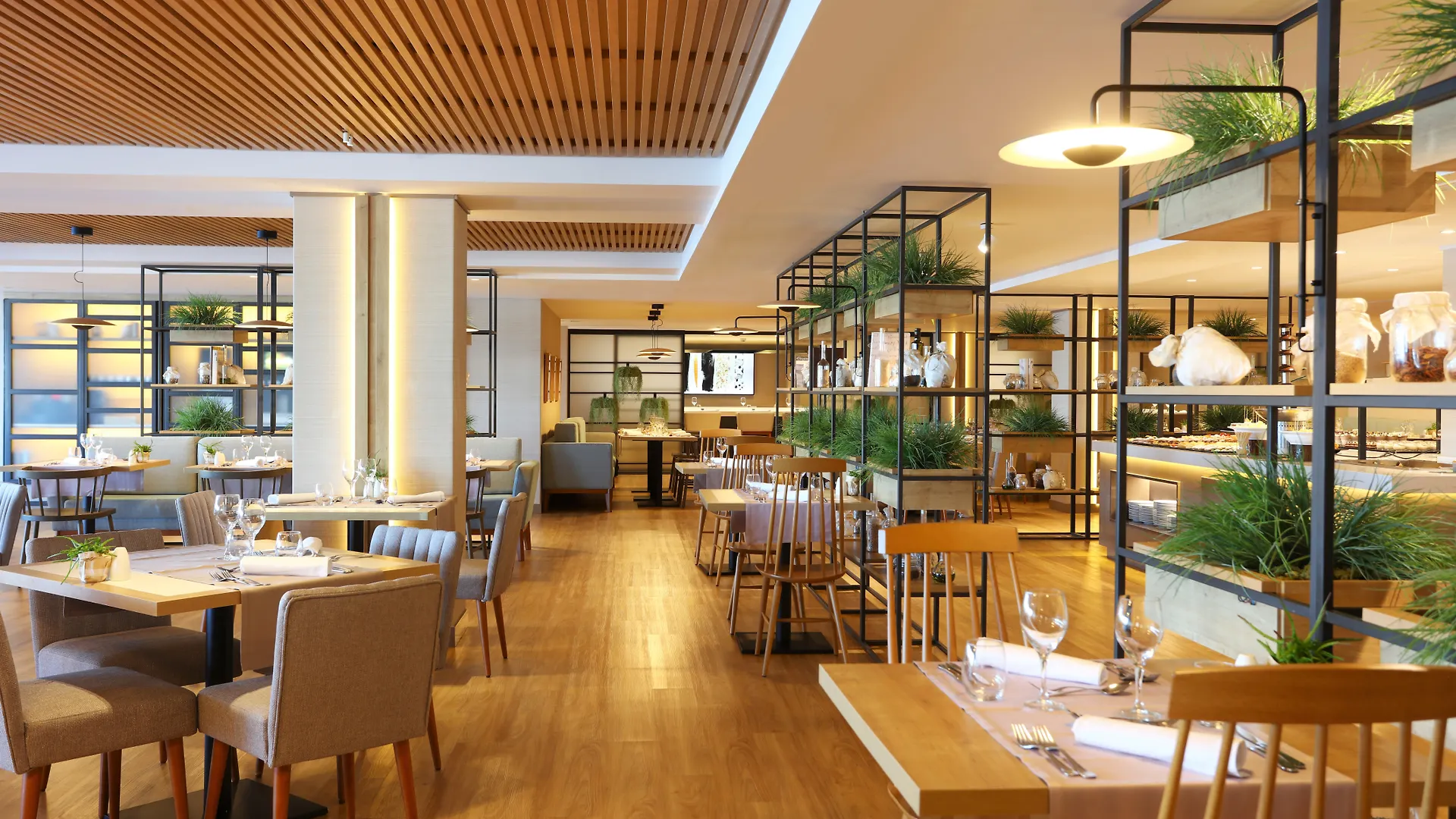 מלון סנטה פונסה Iberostar Selection Jardin Del Sol Suites - Adults Only